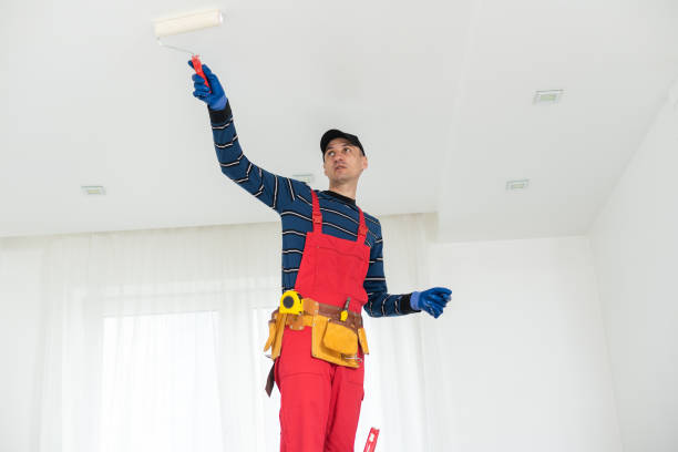 Best Attic Mold Removal  in Interlaken, CA