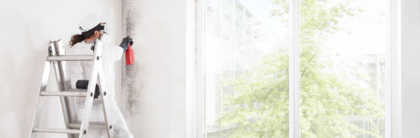  Interlaken, CA Mold Removal Pros