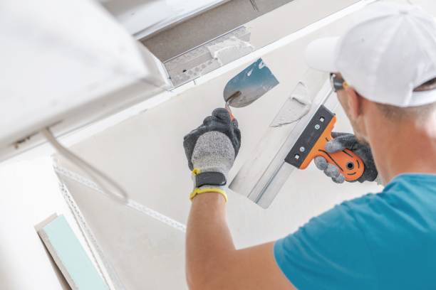 Best Basement Mold Removal  in Interlaken, CA